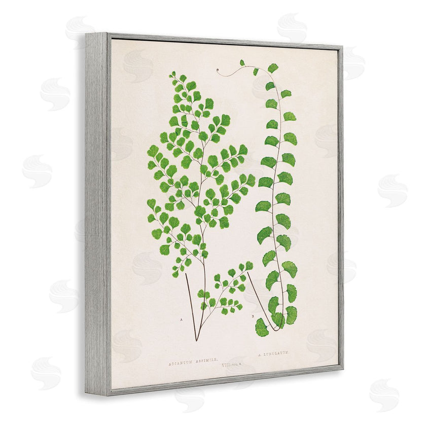 Phillipa Katz | Vivid Green Ferns Study
