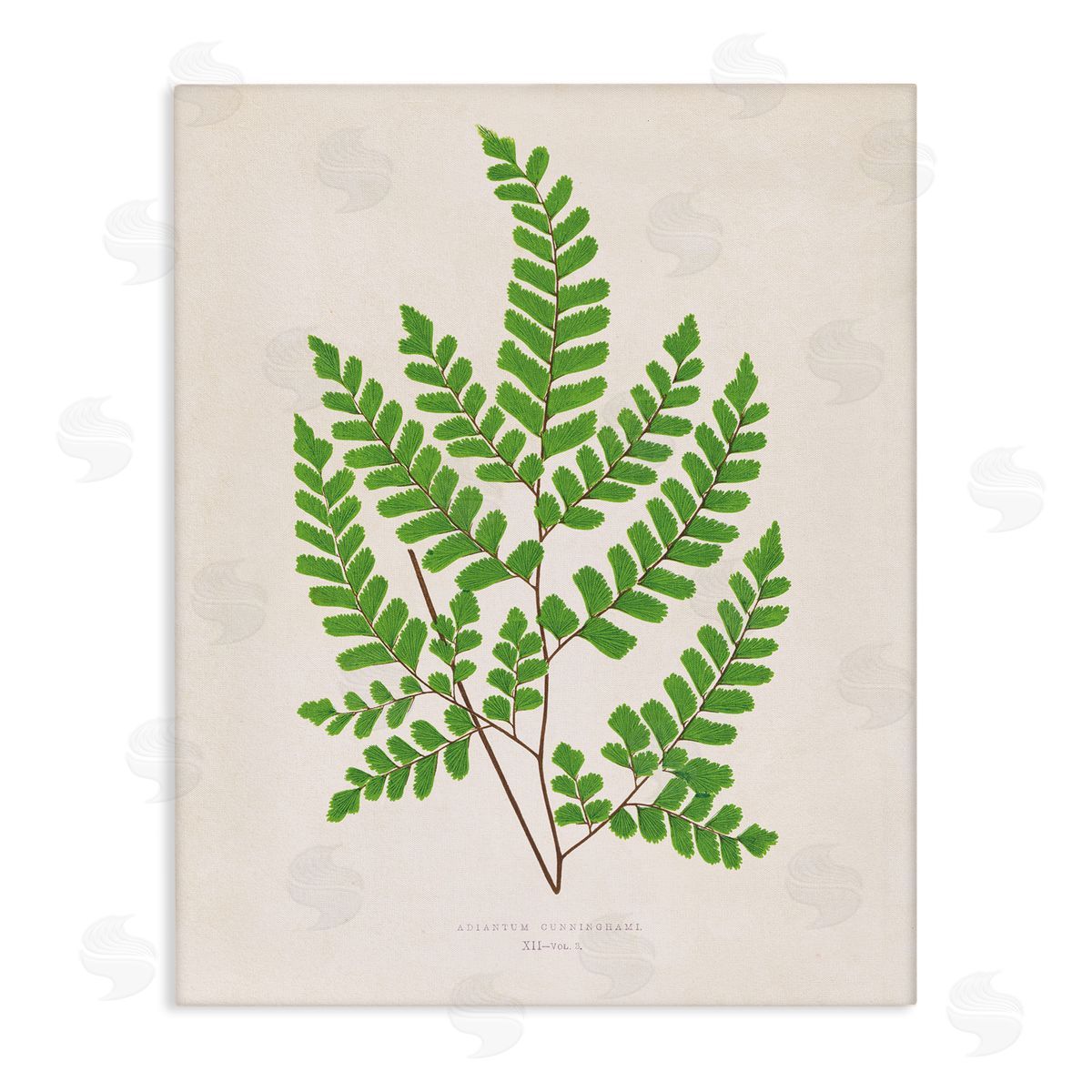 Woodland Sprigs Study Canvas Wall Art, Home Decor by Phillipa Katz