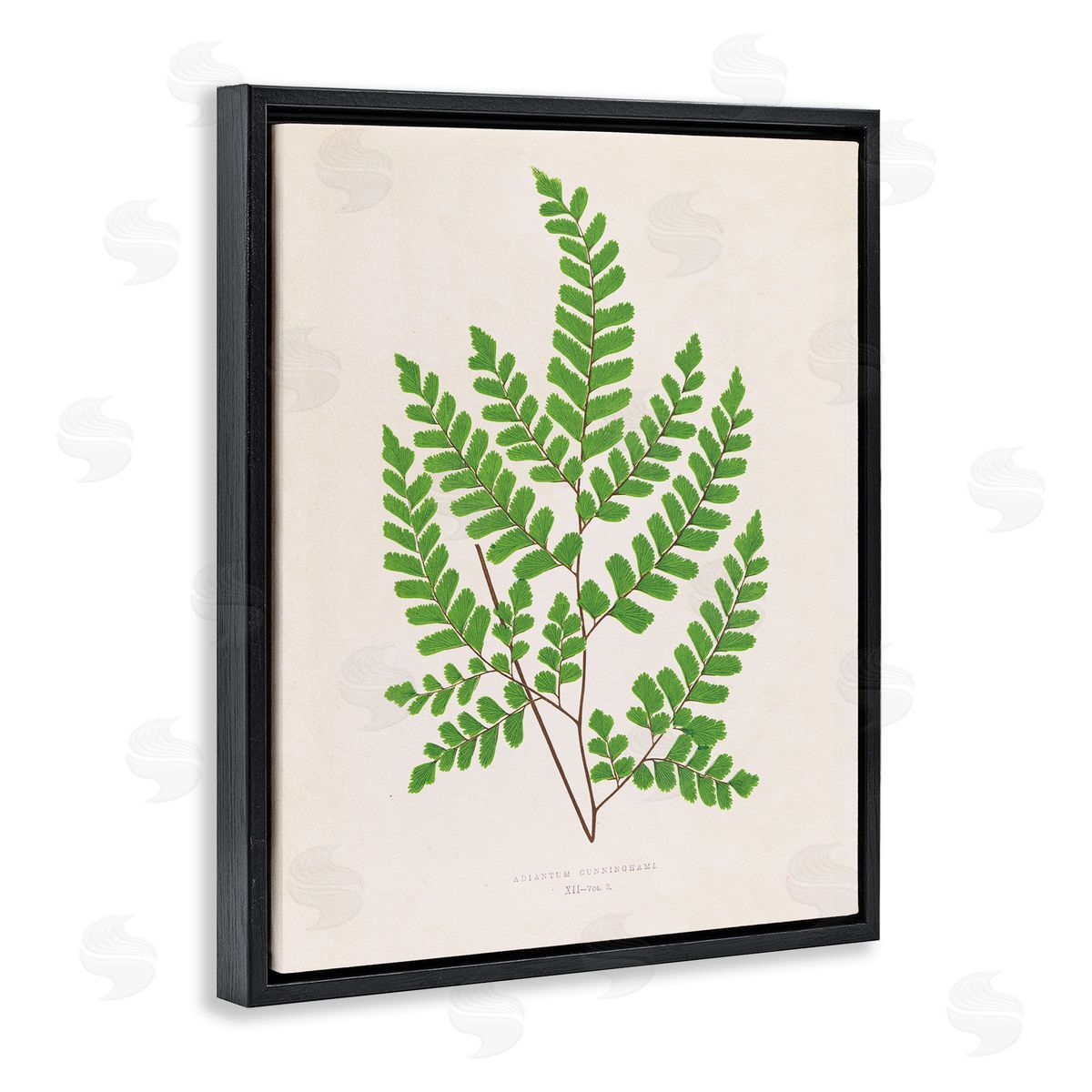 Woodland Sprigs Study Black Floating Frame Canvas Wall Art, Home Decor by Phillipa Katz