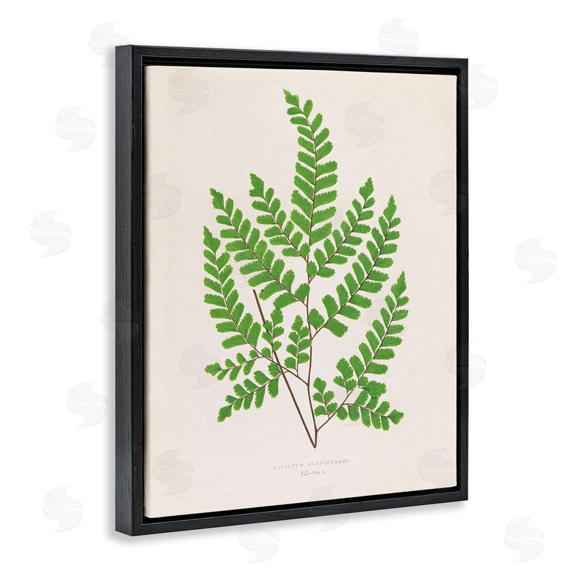 Phillipa Katz | Woodland Sprigs Study
