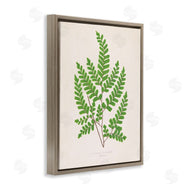 Phillipa Katz | Woodland Sprigs Study