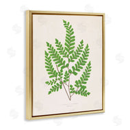 Phillipa Katz | Woodland Sprigs Study
