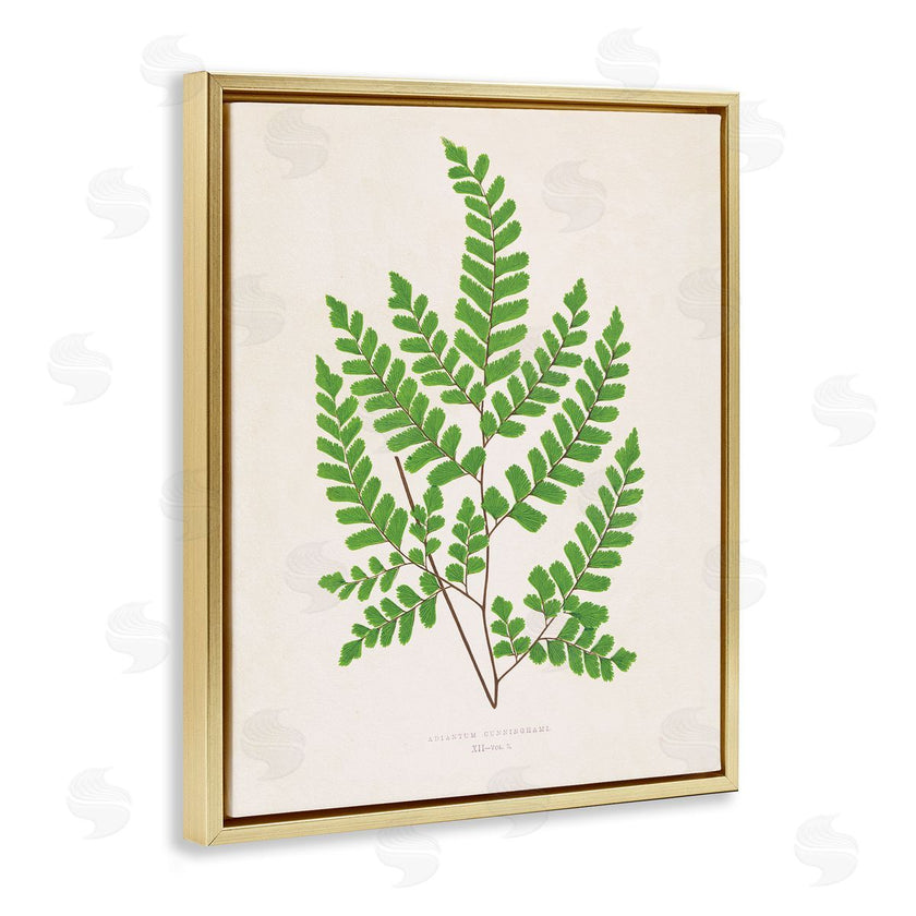Phillipa Katz | Woodland Sprigs Study