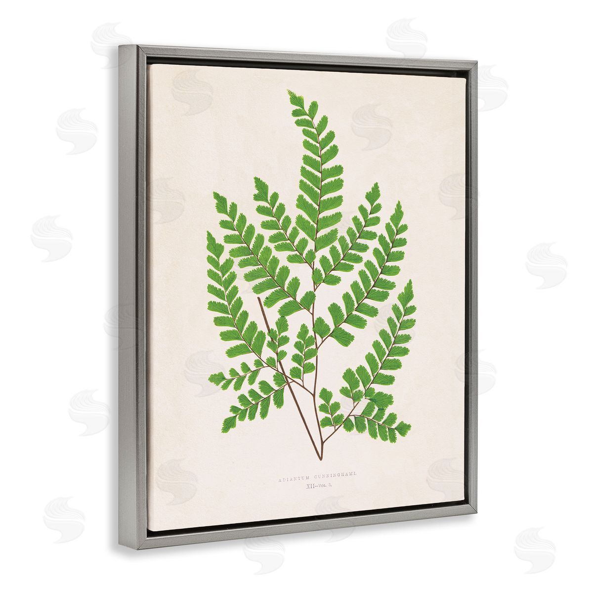 Woodland Sprigs Study Grey Floating Frame Canvas Wall Art, Home Decor by Phillipa Katz