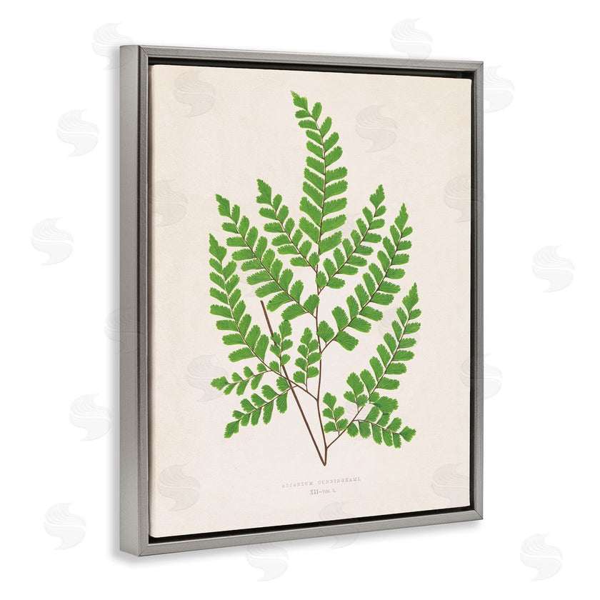Phillipa Katz | Woodland Sprigs Study
