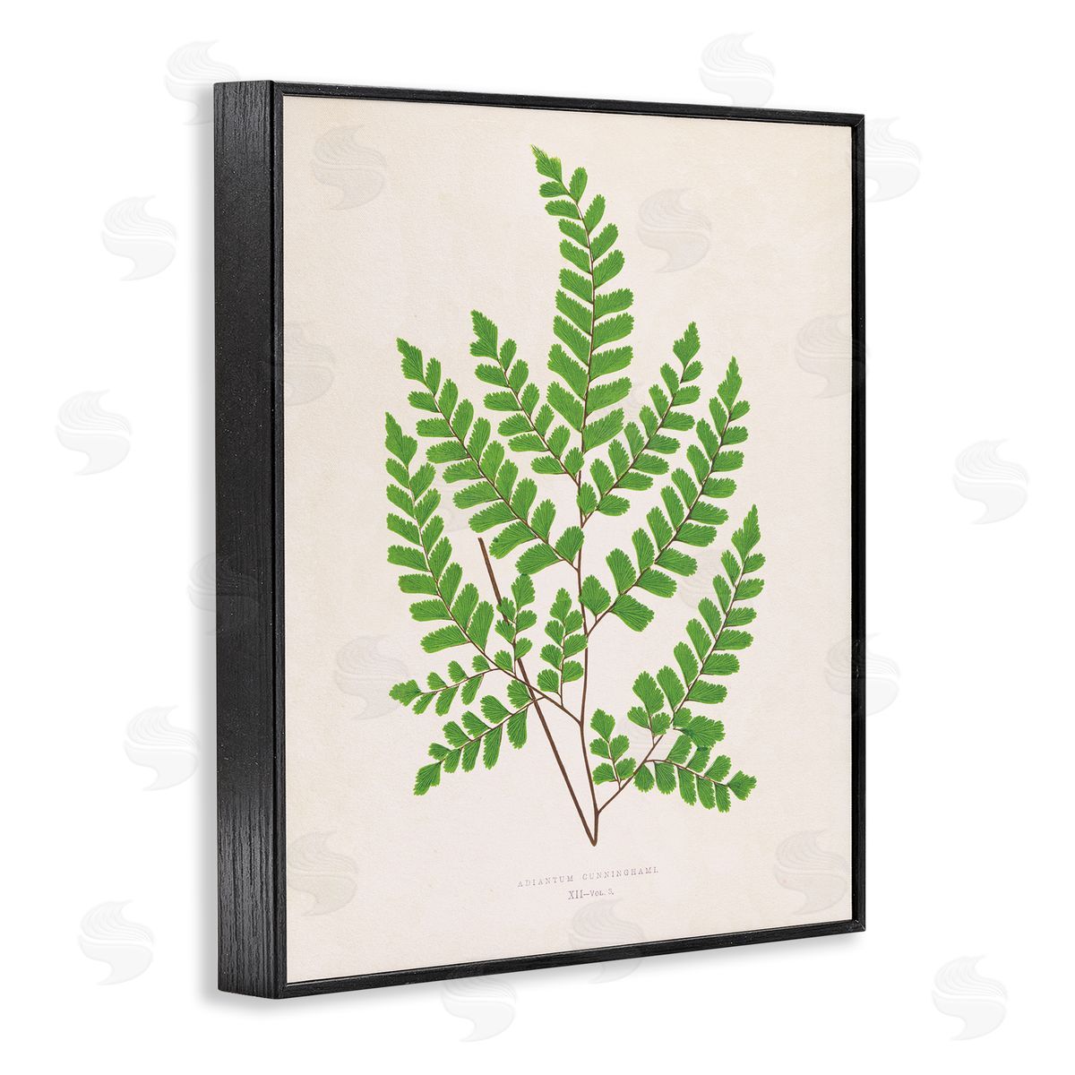 Woodland Sprigs Study Black Frame Print Wall Art, Home Decor by Phillipa Katz
