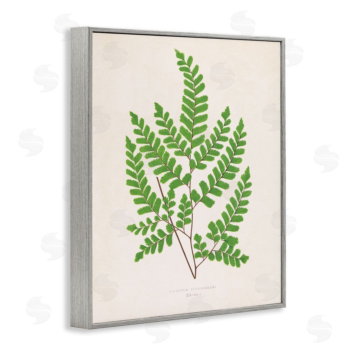 Woodland Sprigs Study Grey Frame Print Wall Art, Home Decor by Phillipa Katz