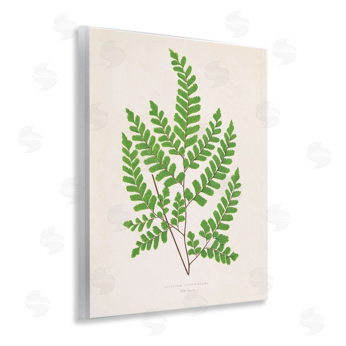 Woodland Sprigs Study Wood Plaque Wall Art, Home Decor by Phillipa Katz