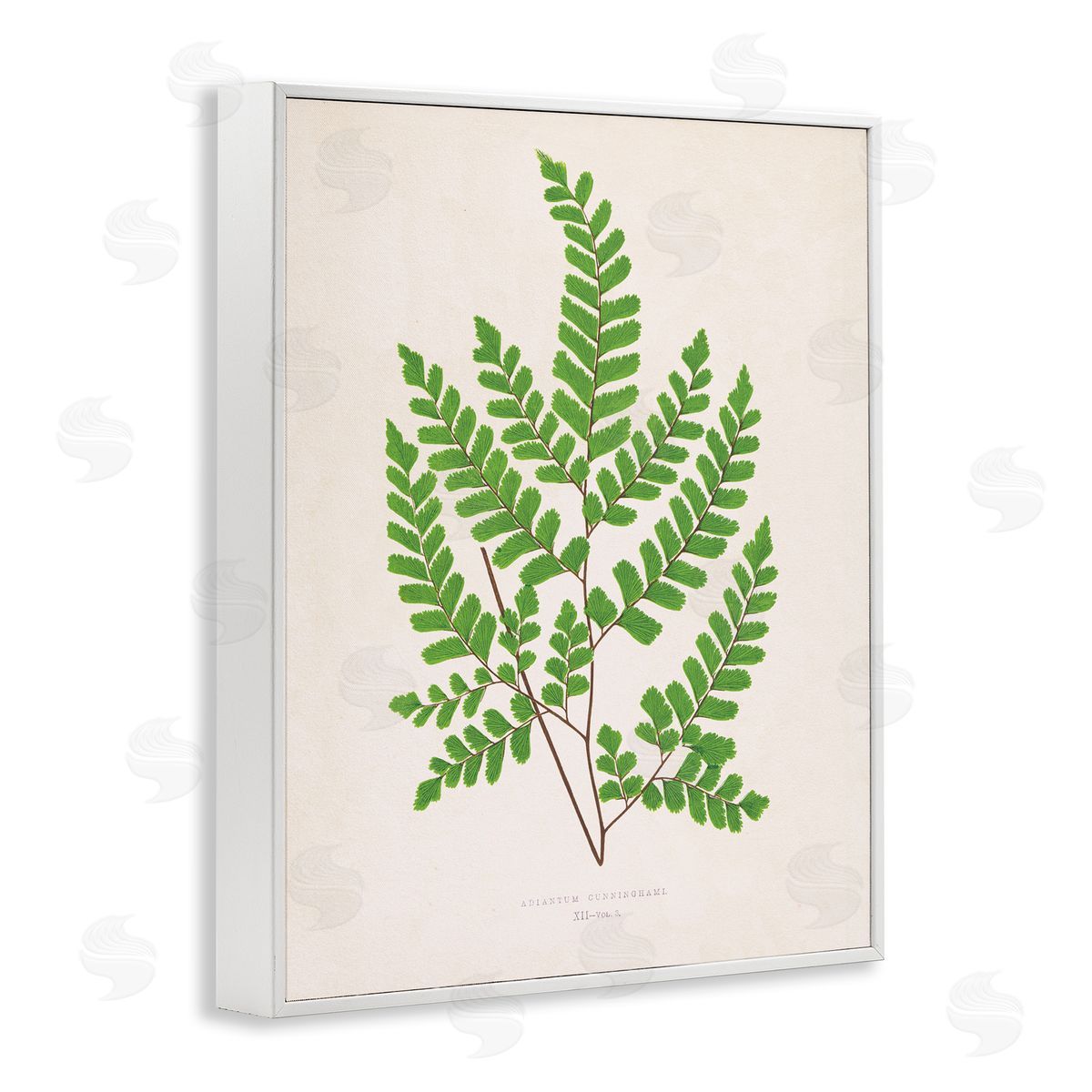 Woodland Sprigs Study White Frame Print Wall Art, Home Decor by Phillipa Katz