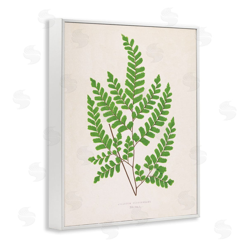 Phillipa Katz | Woodland Sprigs Study