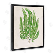 Phillipa Katz | Cottage Ferns Study