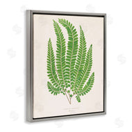 Phillipa Katz | Cottage Ferns Study
