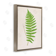 Phillipa Katz | Single Fern Branch