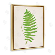 Phillipa Katz | Single Fern Branch