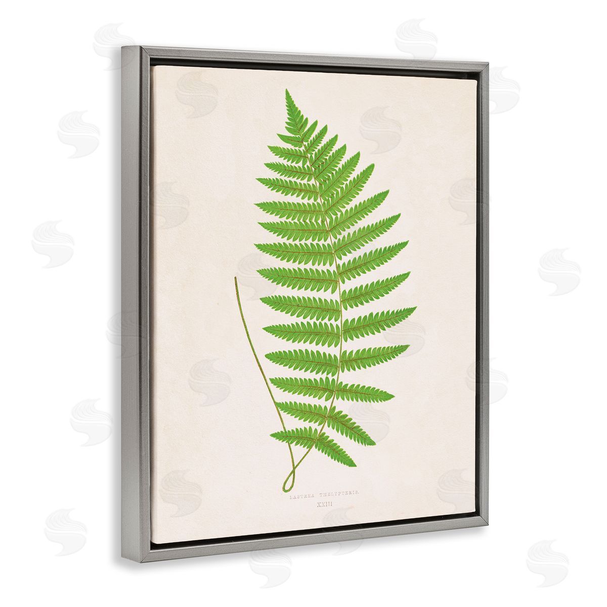 Single Fern Branch Grey Floating Frame Canvas Wall Art, Home Decor by Phillipa Katz
