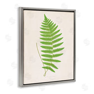 Phillipa Katz | Single Fern Branch