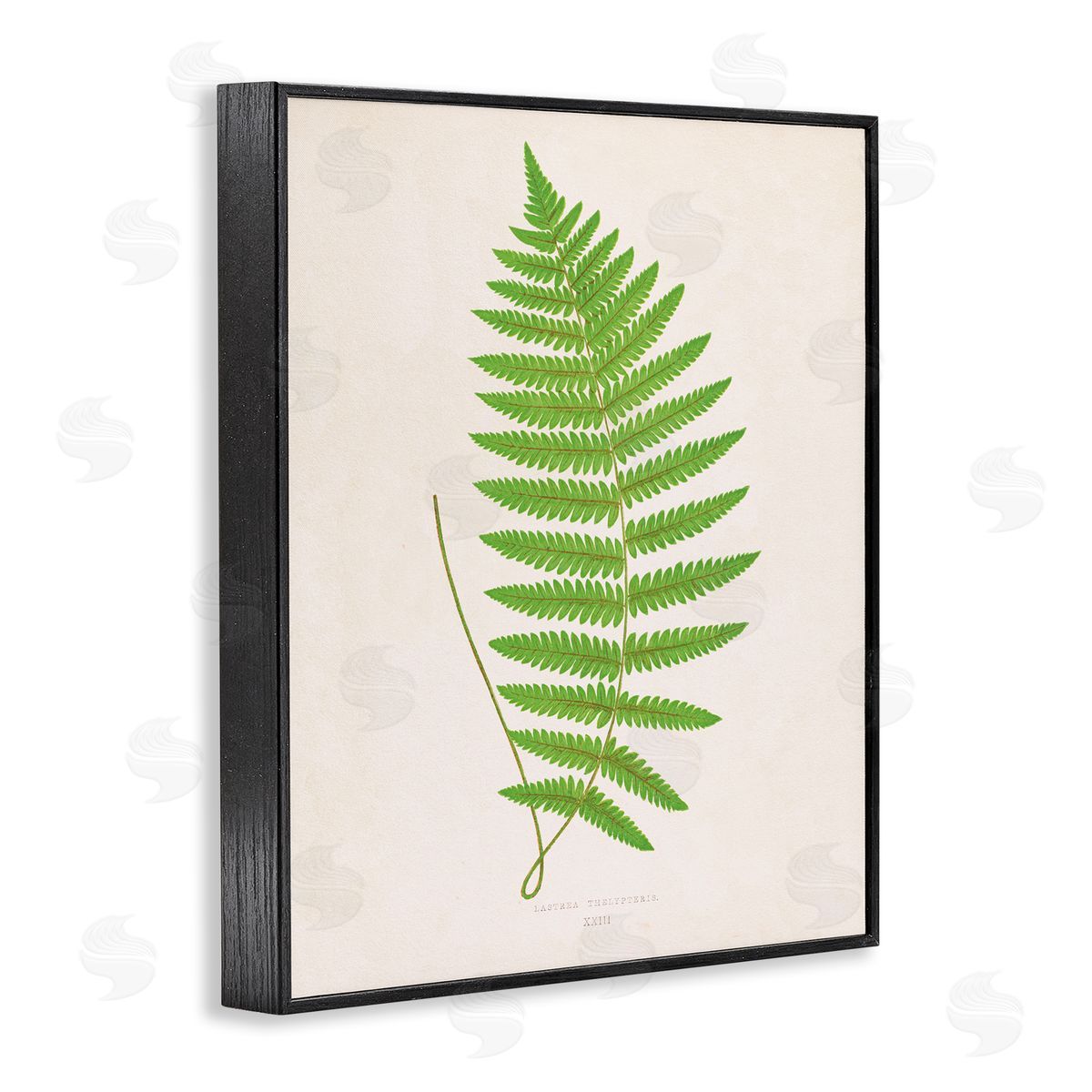 Single Fern Branch Black Frame Print Wall Art, Home Decor by Phillipa Katz