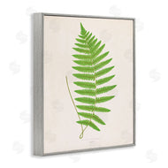 Phillipa Katz | Single Fern Branch