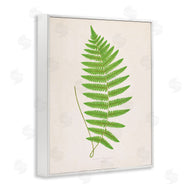 Phillipa Katz | Single Fern Branch