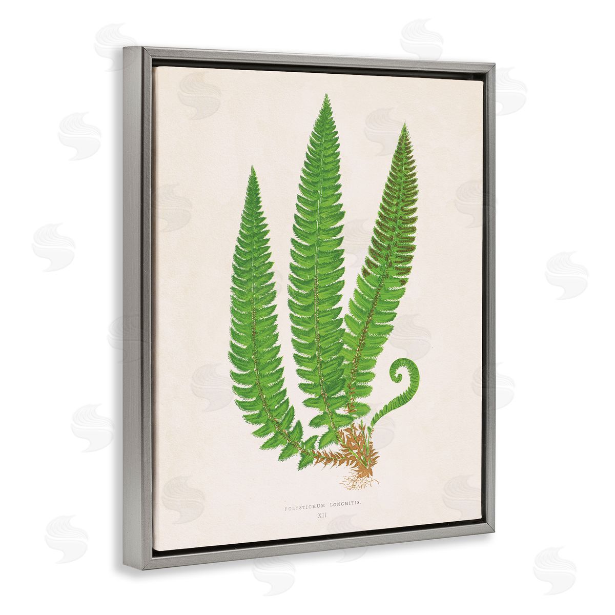 Natural Fern Branch Trio Grey Floating Frame Canvas Wall Art, Home Decor by Phillipa Katz
