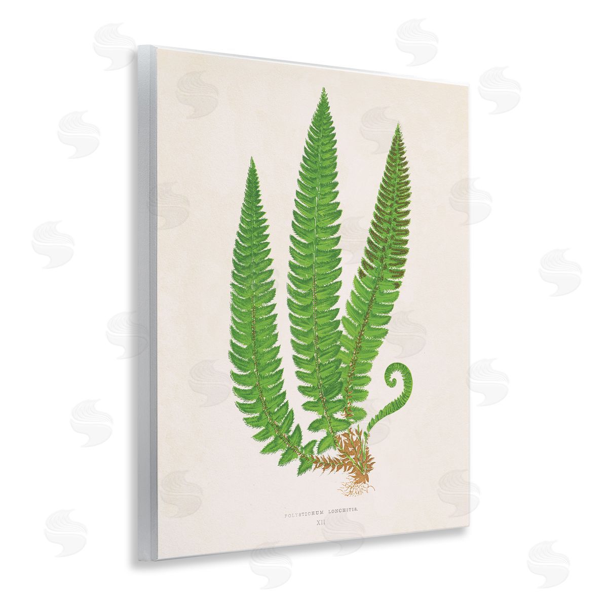 Natural Fern Branch Trio Wood Plaque Wall Art, Home Decor by Phillipa Katz