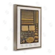 Phillipa Katz | Various Pasta Shapes Vintage