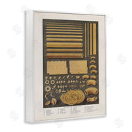 Phillipa Katz | Various Pasta Shapes Vintage