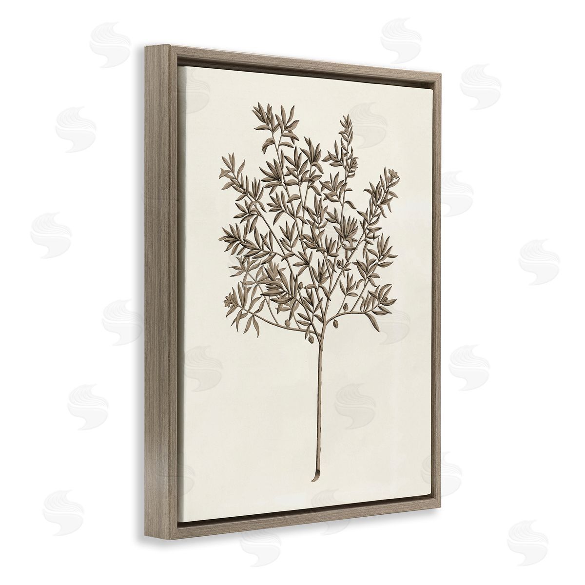 Vintage Study of Olive Tree Brown Floating Frame Canvas Wall Art, Home Decor by Phillipa Katz