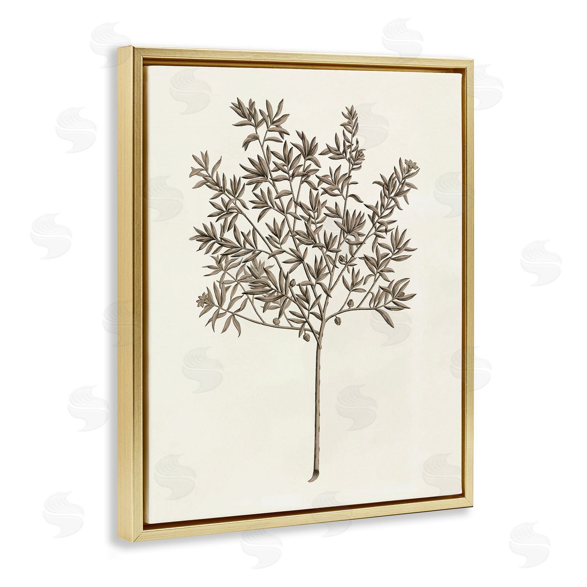 Vintage Study of Olive Tree Gold Floating Frame Canvas Wall Art, Home Decor by Phillipa Katz