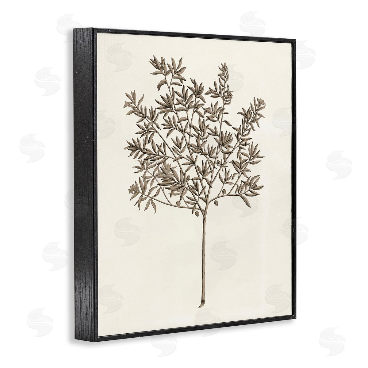 Vintage Study of Olive Tree Black Frame Print Wall Art, Home Decor by Phillipa Katz