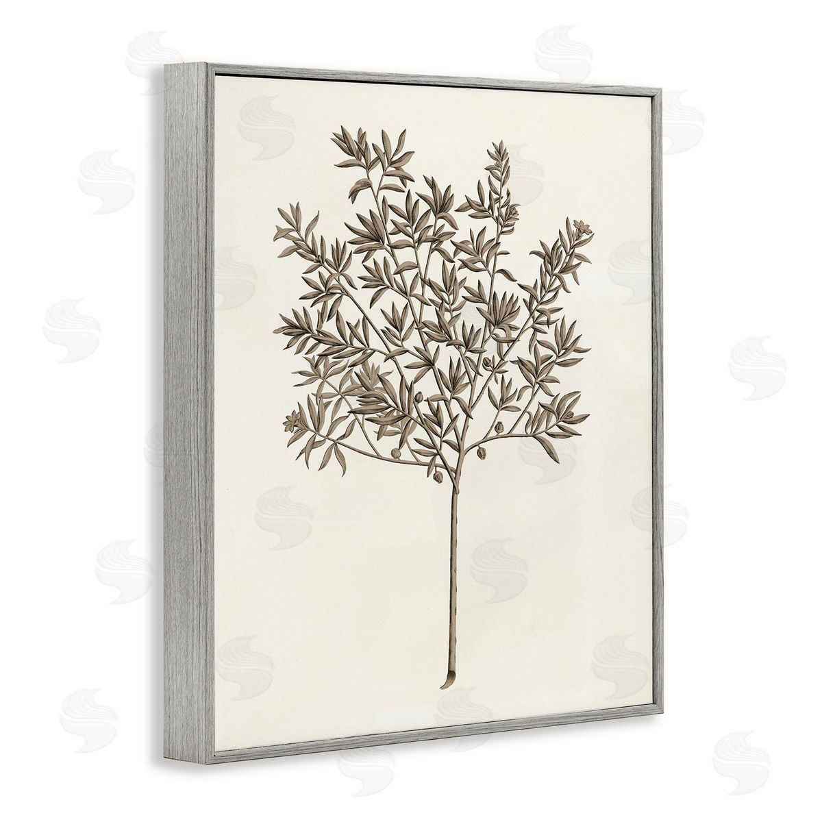 Vintage Study of Olive Tree Grey Frame Print Wall Art, Home Decor by Phillipa Katz