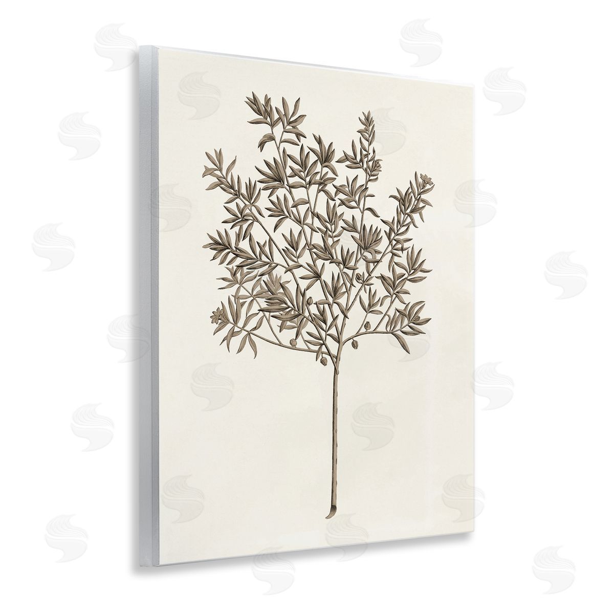Vintage Study of Olive Tree Wood Plaque Wall Art, Home Decor by Phillipa Katz