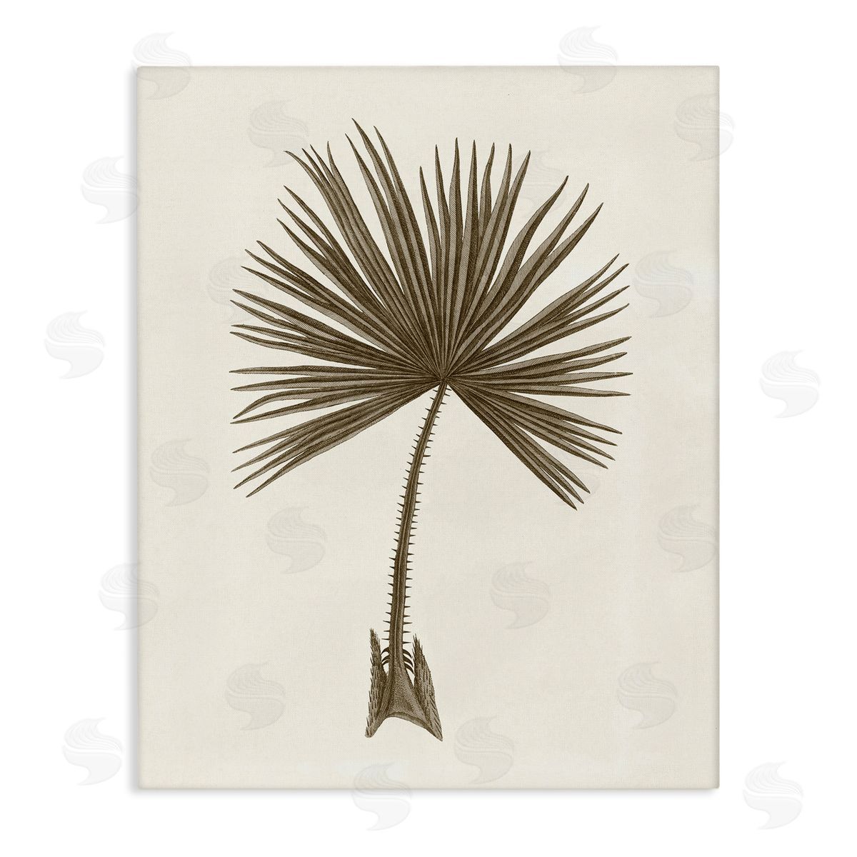 Vintage Study of Palm Leaf Canvas Wall Art, Home Decor by Phillipa Katz