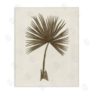 Phillipa Katz | Vintage Study of Palm Leaf