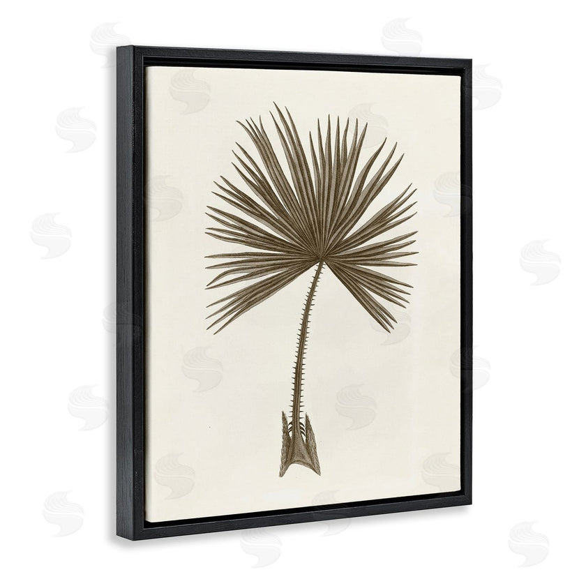Phillipa Katz | Vintage Study of Palm Leaf