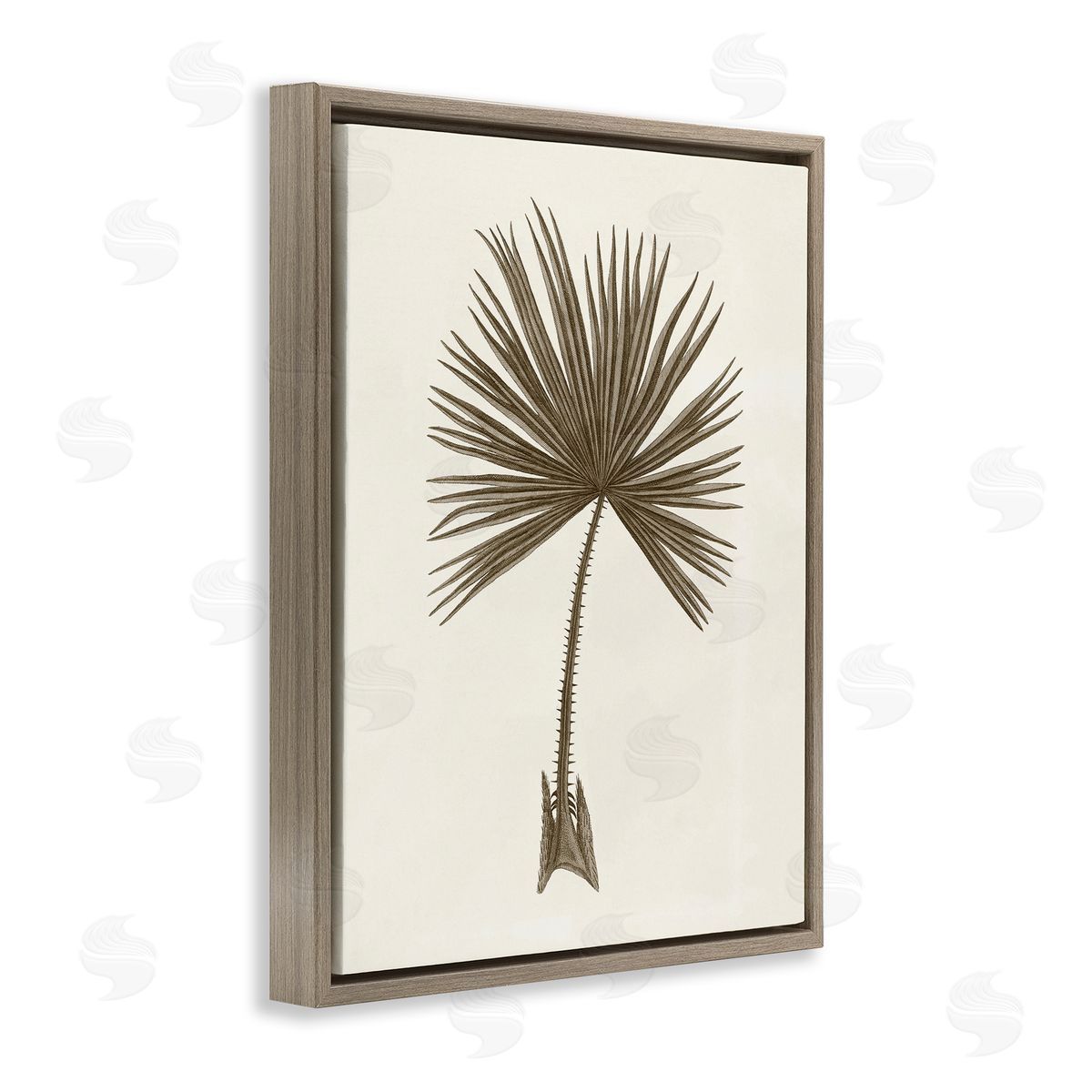Vintage Study of Palm Leaf Brown Floating Frame Canvas Wall Art, Home Decor by Phillipa Katz