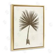 Phillipa Katz | Vintage Study of Palm Leaf