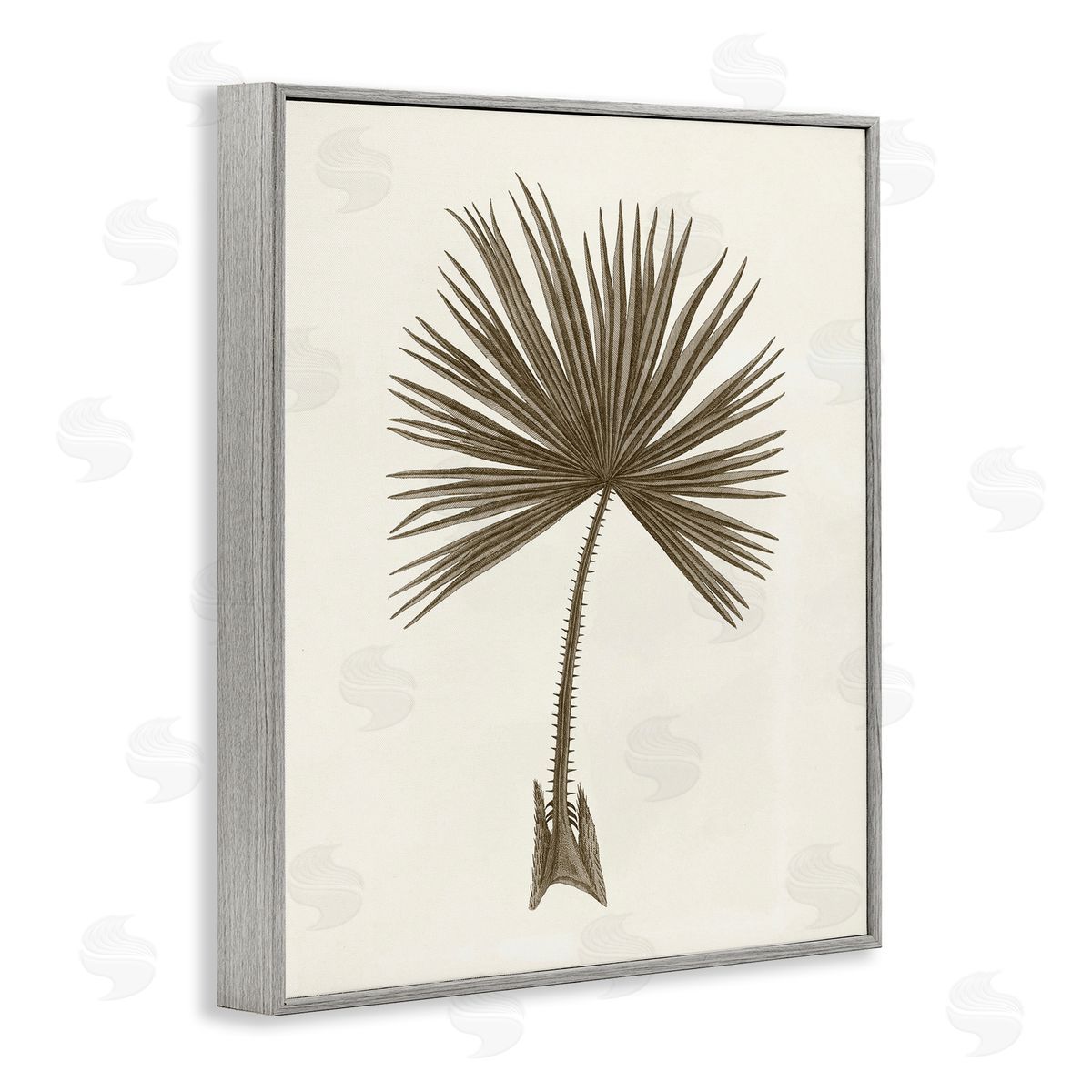 Vintage Study of Palm Leaf Grey Frame Print Wall Art, Home Decor by Phillipa Katz