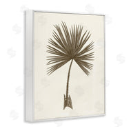 Phillipa Katz | Vintage Study of Palm Leaf