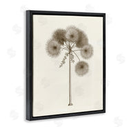 Phillipa Katz | Vintage Study of Palm Tree