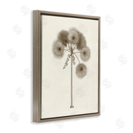 Phillipa Katz | Vintage Study of Palm Tree