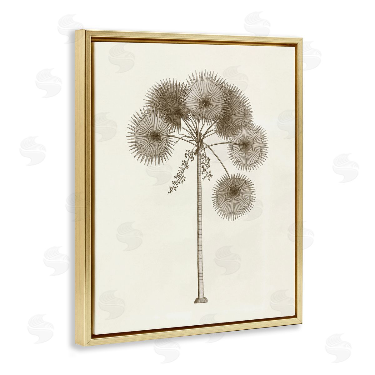 Vintage Study of Palm Tree Gold Floating Frame Canvas Wall Art, Home Decor by Phillipa Katz