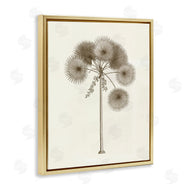 Phillipa Katz | Vintage Study of Palm Tree