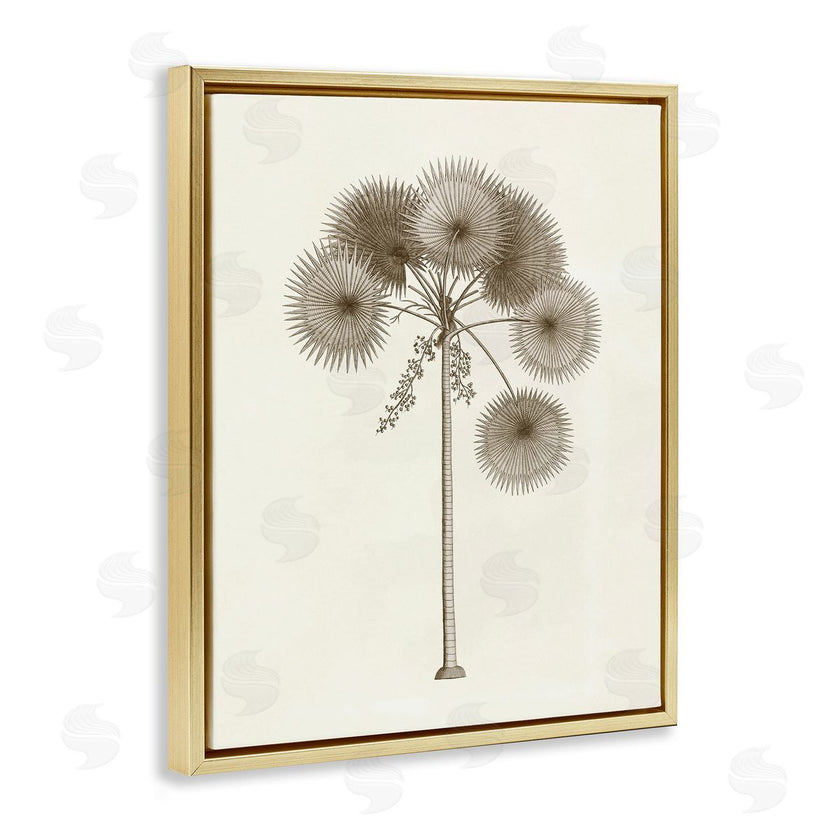 Phillipa Katz | Vintage Study of Palm Tree