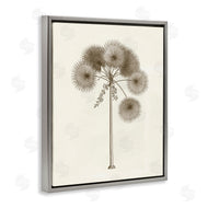 Phillipa Katz | Vintage Study of Palm Tree
