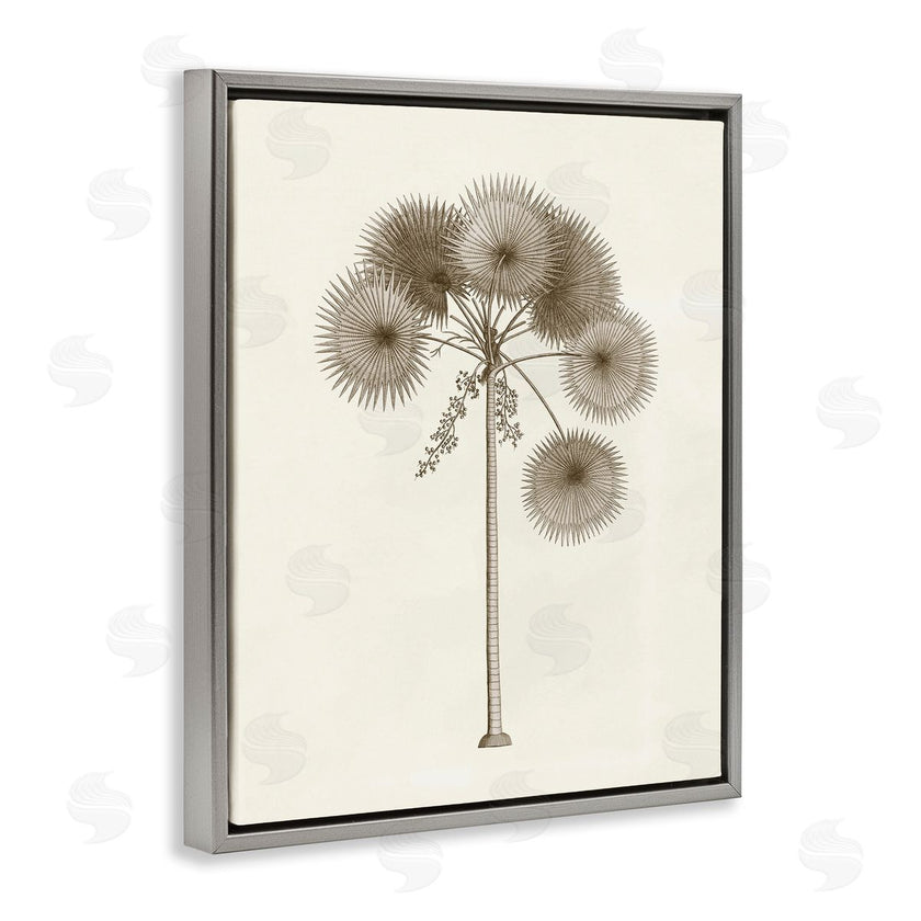 Phillipa Katz | Vintage Study of Palm Tree