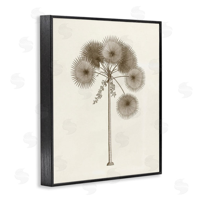 Phillipa Katz | Vintage Study of Palm Tree