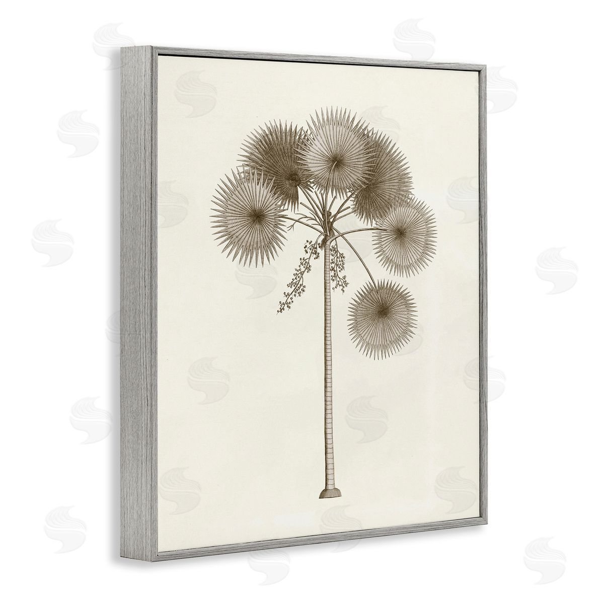 Vintage Study of Palm Tree Grey Frame Print Wall Art, Home Decor by Phillipa Katz