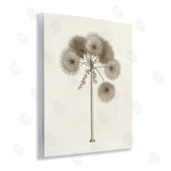 Phillipa Katz | Vintage Study of Palm Tree