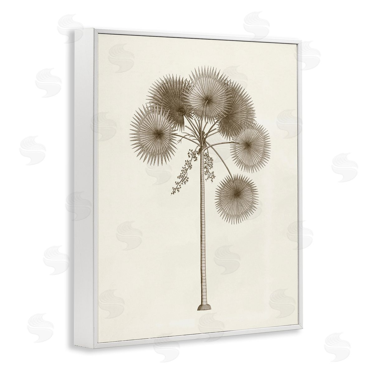 Vintage Study of Palm Tree White Frame Print Wall Art, Home Decor by Phillipa Katz